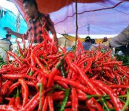 Pedagang di Pekanbaru masih menjual mahal cabai merah (foto/int) 